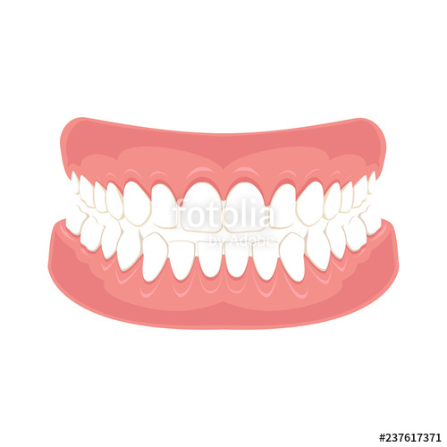 500x500 Denture Icon Icon Gums With Teeth Or Dentures Dental Prosthesis