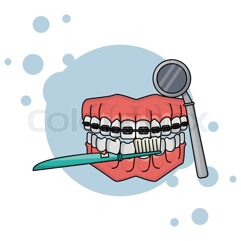 800x800 Cartoon Dental Care Denture With Stock Vector Colourbox
