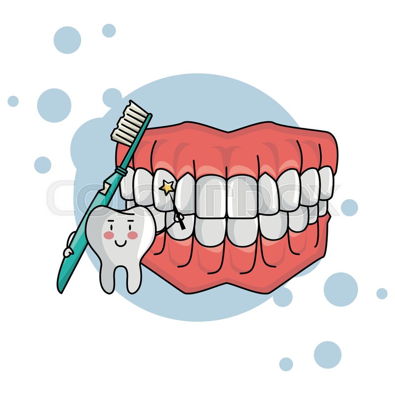 800x800 Cartoon Dental Care Denture With Tooth Stock Vector Colourbox