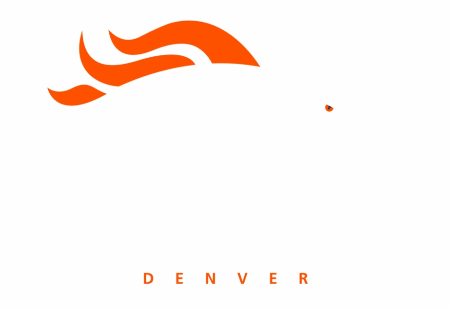 920x635 Broncos Logo Png