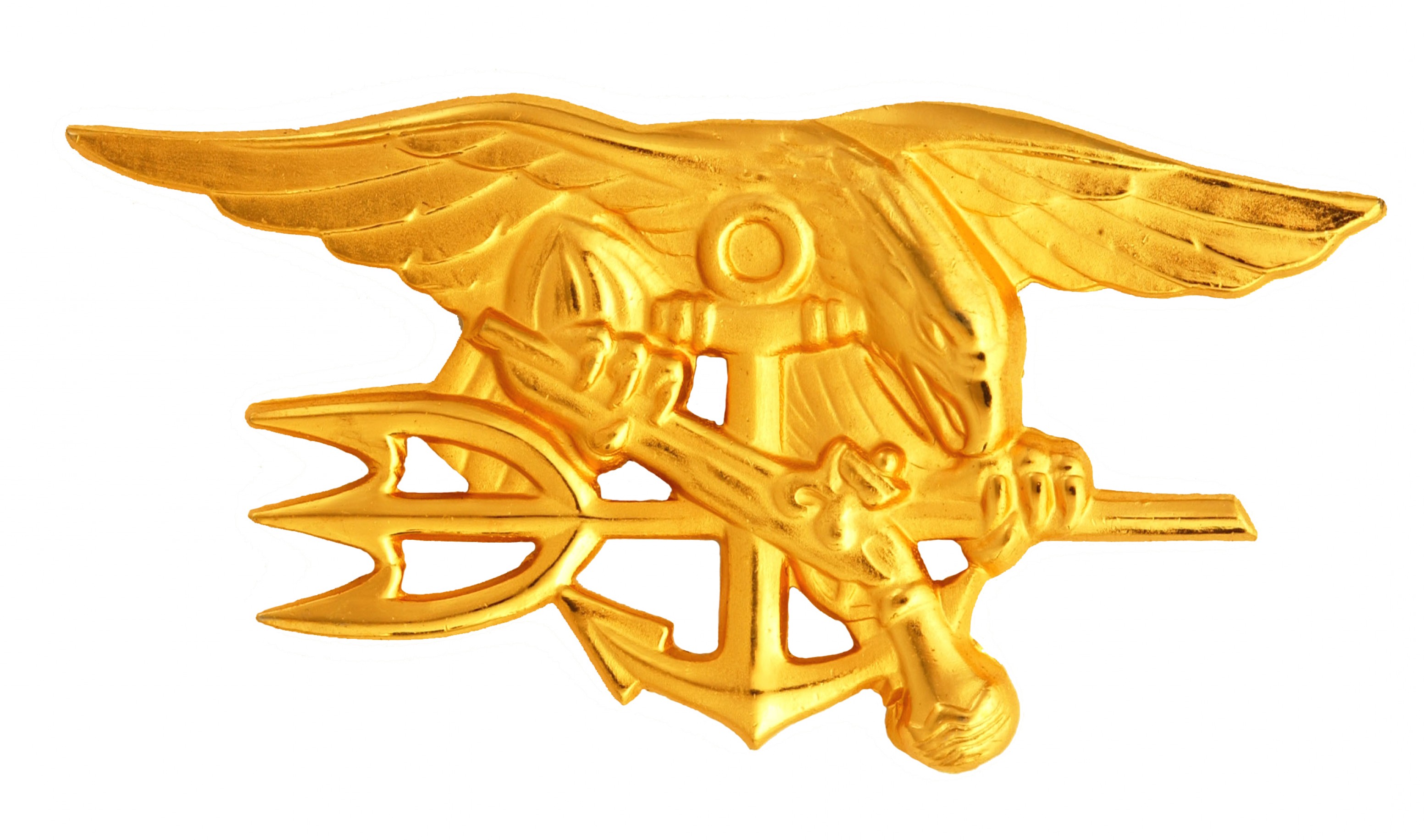 Department Of Defense Logo Vector At Vectorified.com 