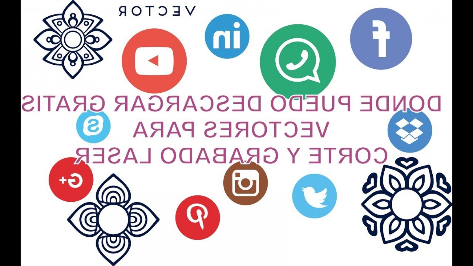 1536x864 Flores De Vectores Gratis Lamaison