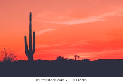 Huge Collection Of 'desert Silhouette' Download More Than 413x280 Huge Collection Of 'desert Silhouette' Download More Than