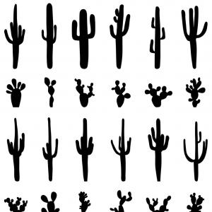 Black And White Mexican Cactus Silhouette Image Catamart 300x300 Black And White Mexican Cactus Silhouette Image Catamart
