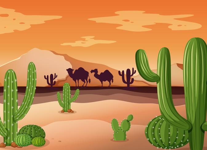 Desert Vectors Free Vector Graphics Everypixel 673x490 Desert Vectors Free Vector Graphics Everypixel