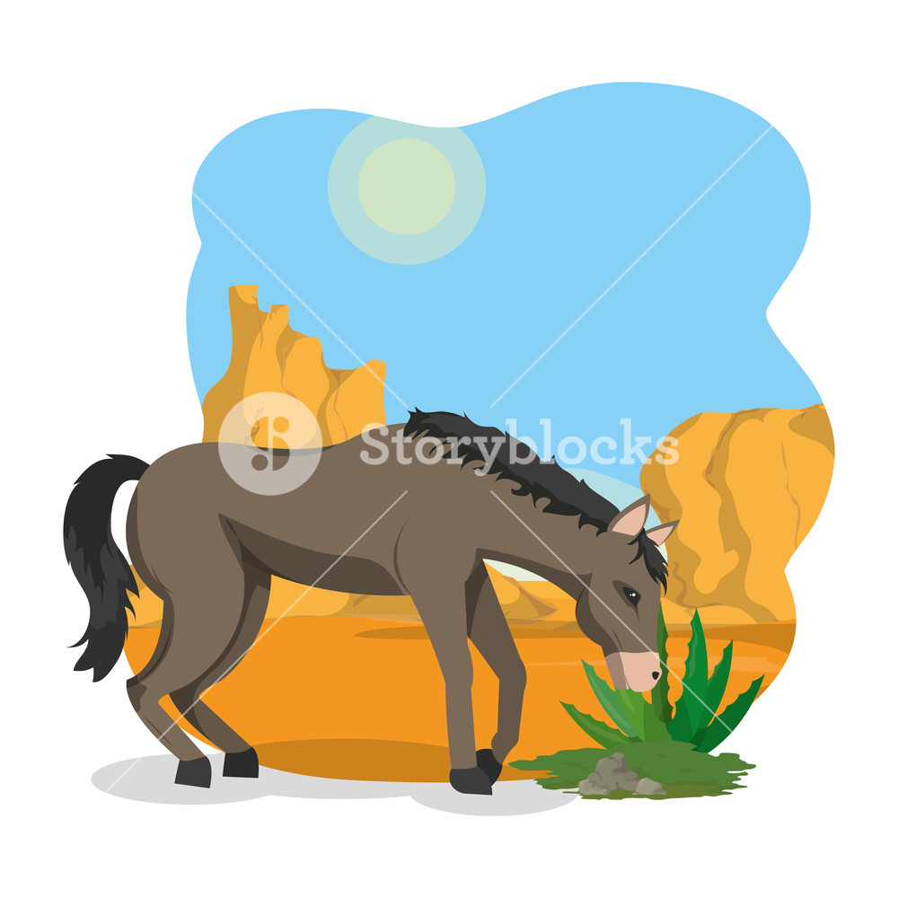 Horse Eating Grass On Desert Vector Illustration Graphic Design 1000x1000 Horse Eating Grass On Desert Vector Illustration Graphic Design
