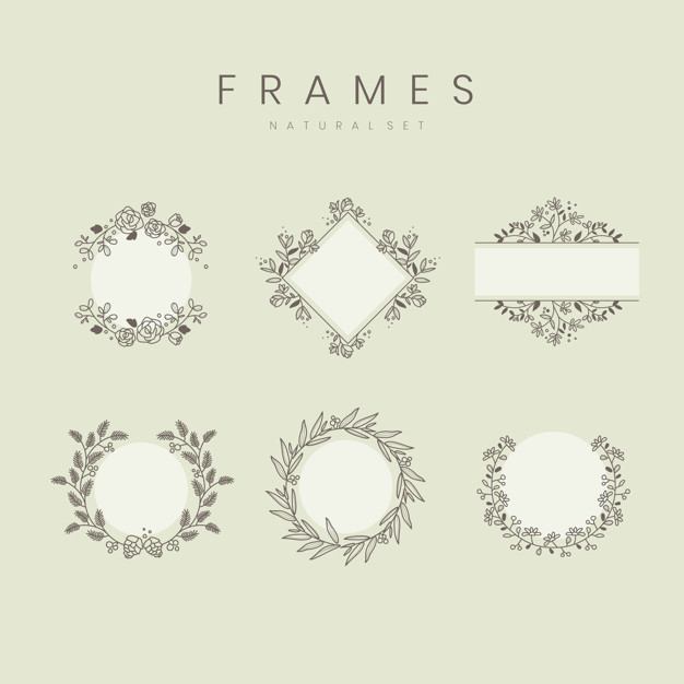 626x626 Set Of Botanical Frame Design Elements Vector Vector Free Download