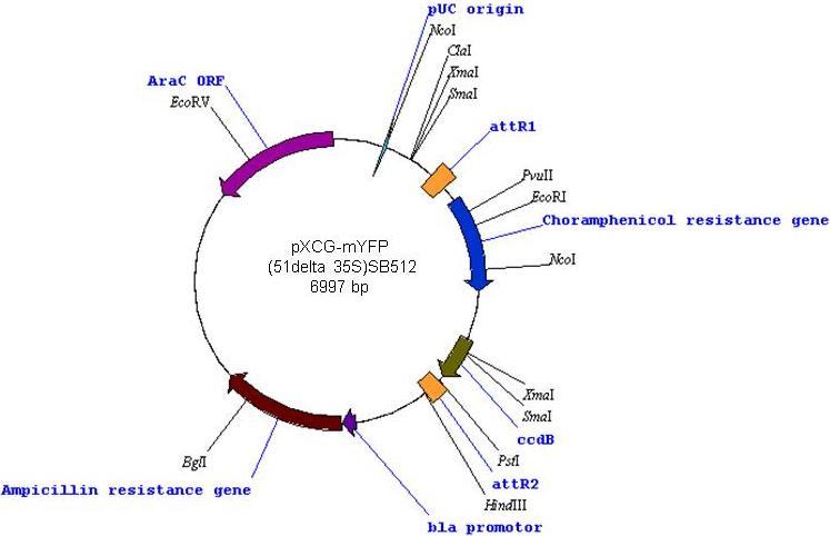 747x482 Map Of The Destination Vector Pxcg Myfp