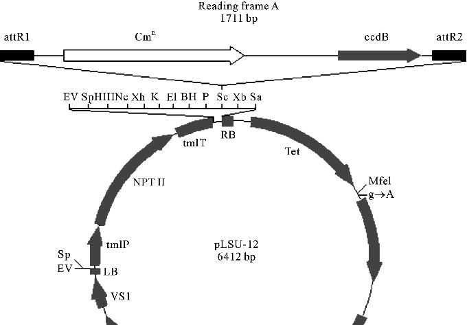 680x473 Schematic Presentation Of Gateway Destination Vector