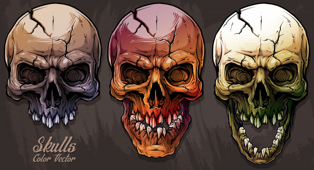 626x339 Detailed Graphic Colorful Human Skulls Set Vector Premium Download