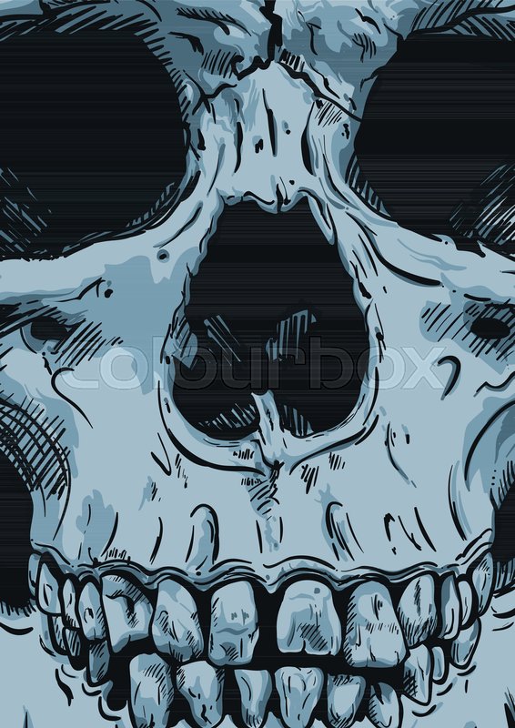566x800 Human Skull Vector Art Detailed Hand Stock Vector Colourbox