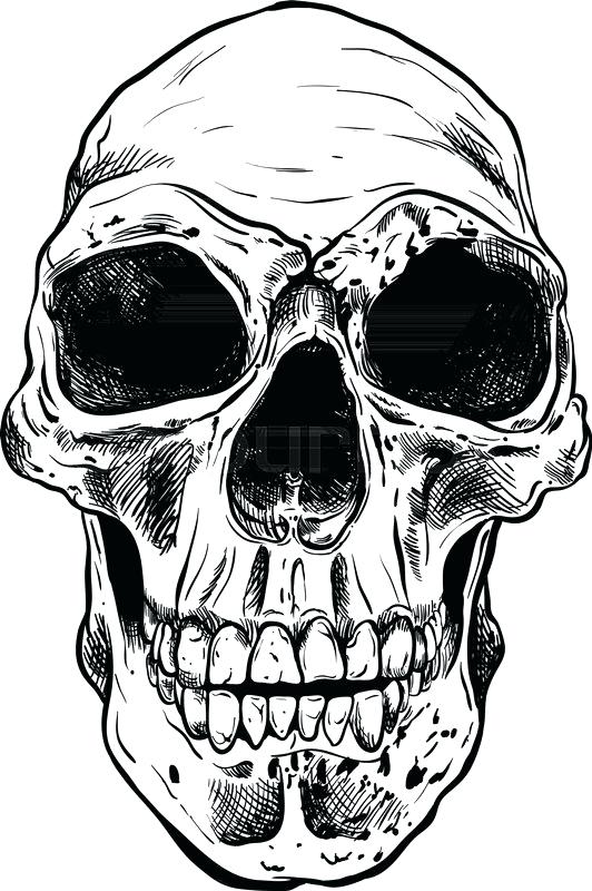 532x800 Stock Vector Artwork