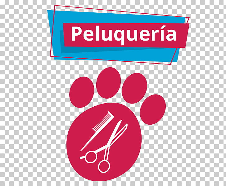 728x600 Graphics Bc Lions Illustration Detroit Lions, Hair Salon Png