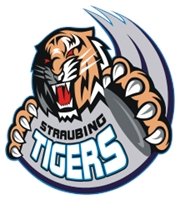 180x200 Detroit Tigers Logo Vector