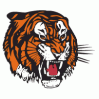 2,062 Detroit tigers vector images at Vectorified.com