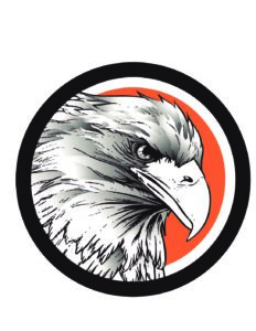 232x300 Vector Dhs Logo Members Credit Union