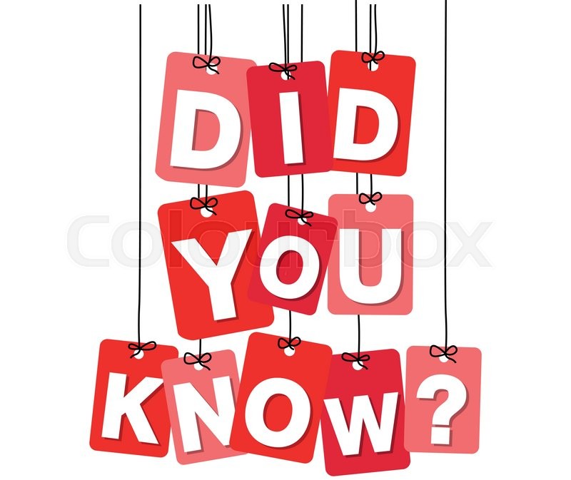 800x673 Vector Colorful Hanging Cardboard Stock Vector Colourbox