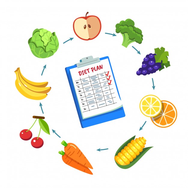 Diet Plan Schedule Vector Free Download 626x626 Diet Plan Schedule Vector Free Download