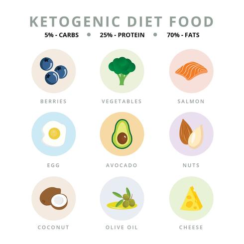Ketogenic Diet Vector Illustrator 490x490 Ketogenic Diet Vector Illustrator