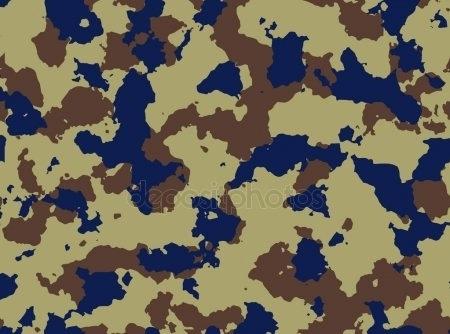 Camouflage Pattern Vector Colortap 450x334 Camouflage Pattern Vector Colortap