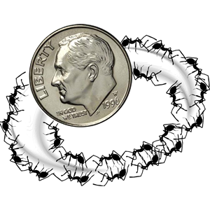 300x300 Dime Ant Ring Clipart, Cliparts Of Dime Ant Ring Free Download
