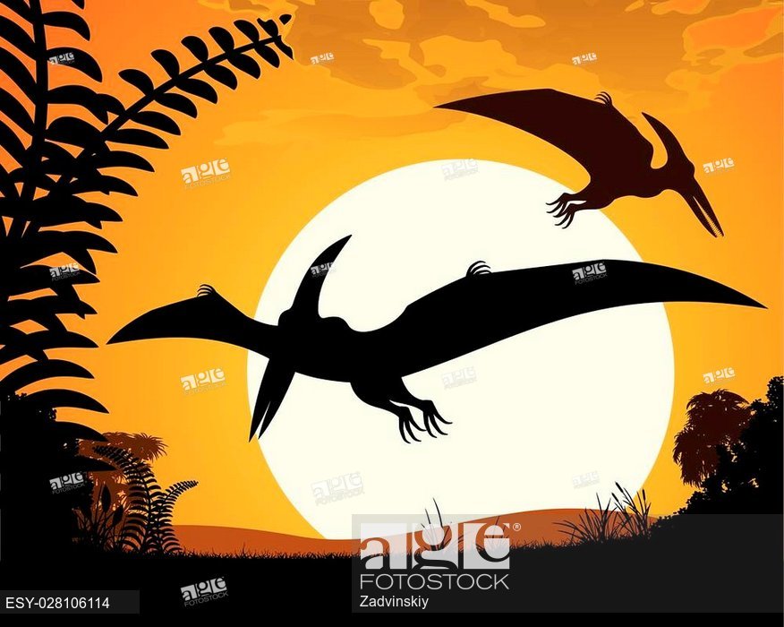 Dinosaur Pterodactyl Pterodactyls Silhouette On Sunset Background 876x700 Dinosaur Pterodactyl Pterodactyls Silhouette On Sunset Background