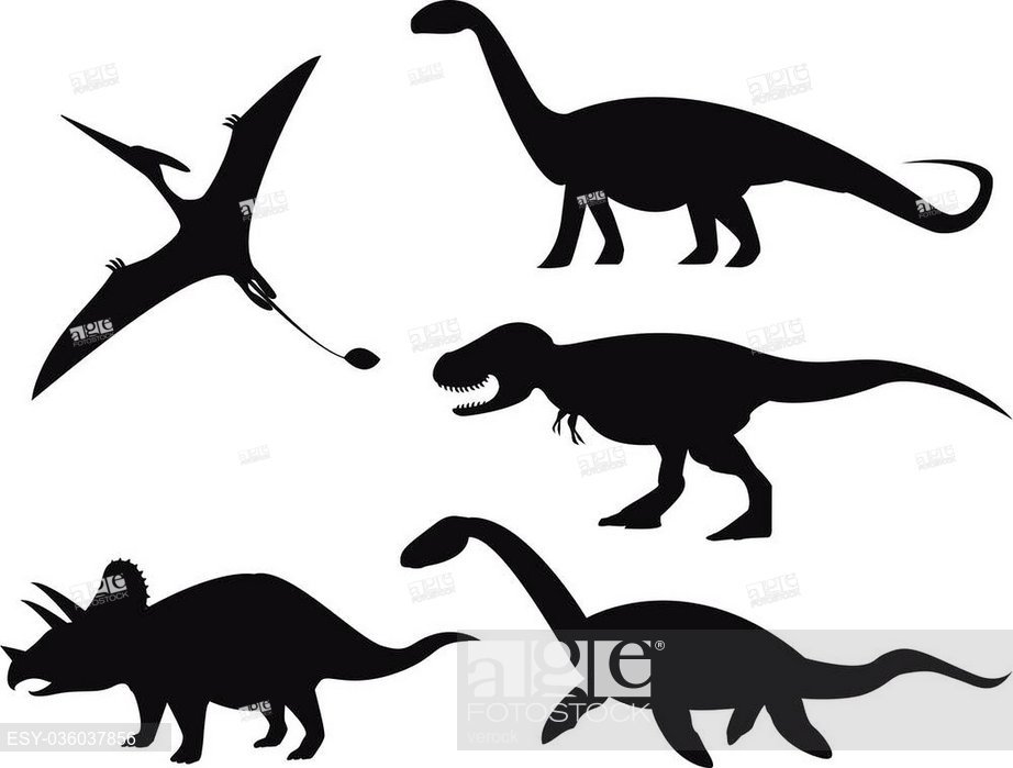 Set Of Dinosaur Silhouettes Isolated On White Background, Stock 922x699 Set Of Dinosaur Silhouettes Isolated On White Background, Stock