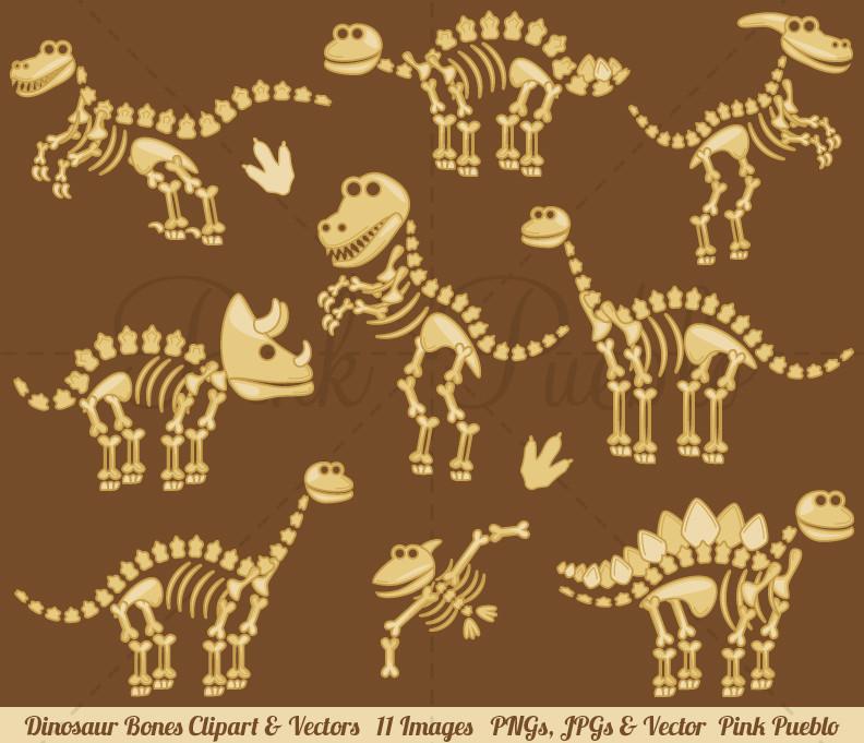 Dinosaur Fossils And Bones Clipart And Vectors Pinkpueblo 792x681 Dinosaur Fossils And Bones Clipart And Vectors Pinkpueblo