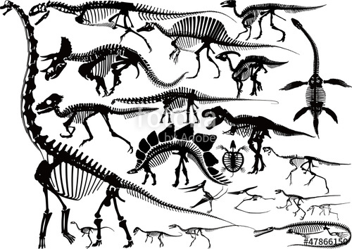 Dinosaur Skeleton Silhouette Collection Stock Image And Royalty 500x354 Dinosaur Skeleton Silhouette Collection Stock Image And Royalty