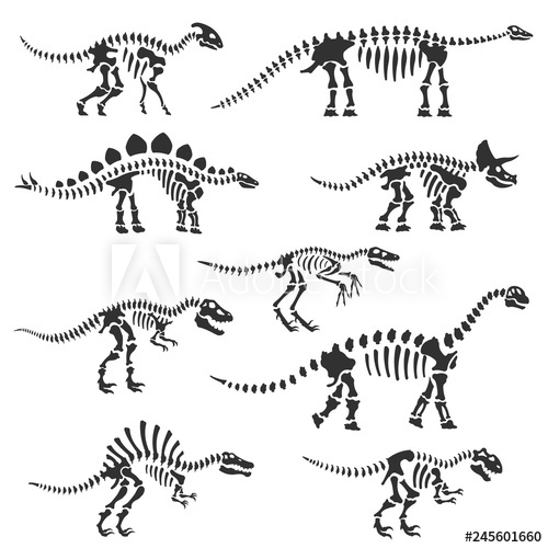 Dinosaur Skeletons Set Dinosaur Bones Silhouettes, Isolated 500x500 Dinosaur Skeletons Set Dinosaur Bones Silhouettes, Isolated