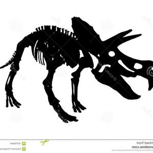 300x300 Isolated Triceratops Dinosaur Skeleton Fossil Vector Isolated