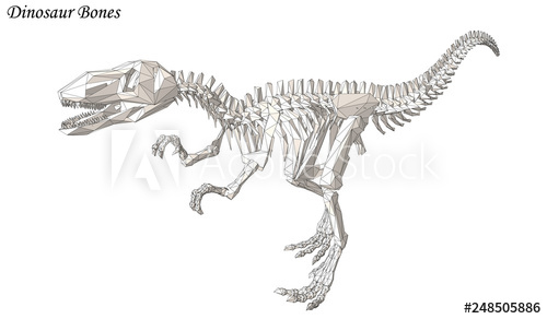 Dinosaur Bone Vector Raptor 500x292 Dinosaur Bone Vector Raptor