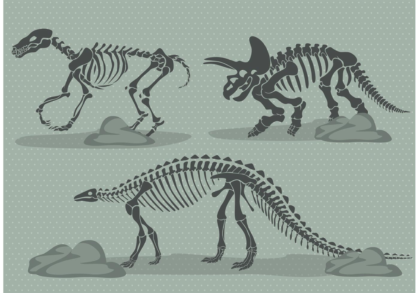 Dinosaur Bones Free Vector Art 1400x980 Dinosaur Bones Free Vector Art