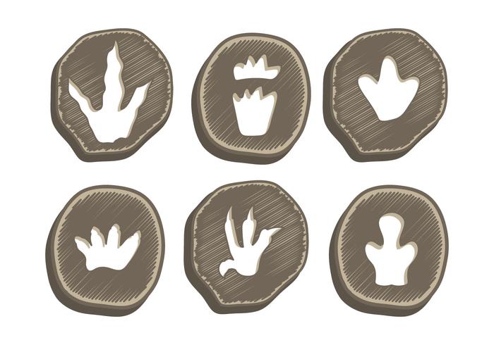 700x490 Dinosaur Footprint Vector Stock Images