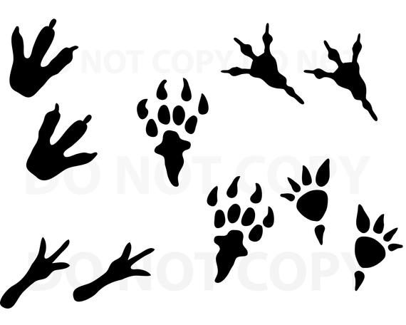 570x456 Dinosaur Footprint Bundle For Cricut Design Etsy