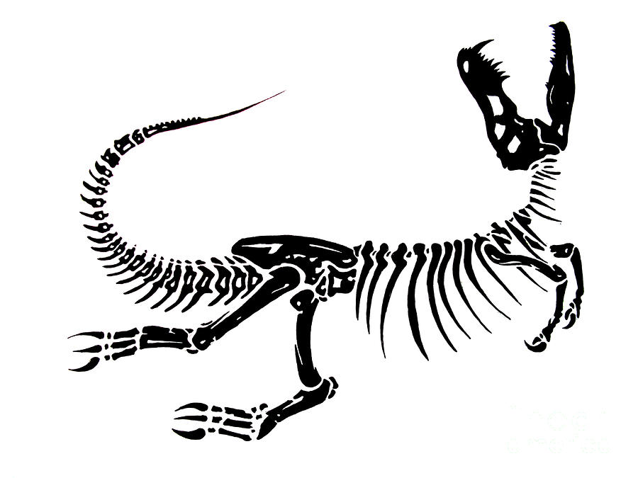 dinosaur fossils printables