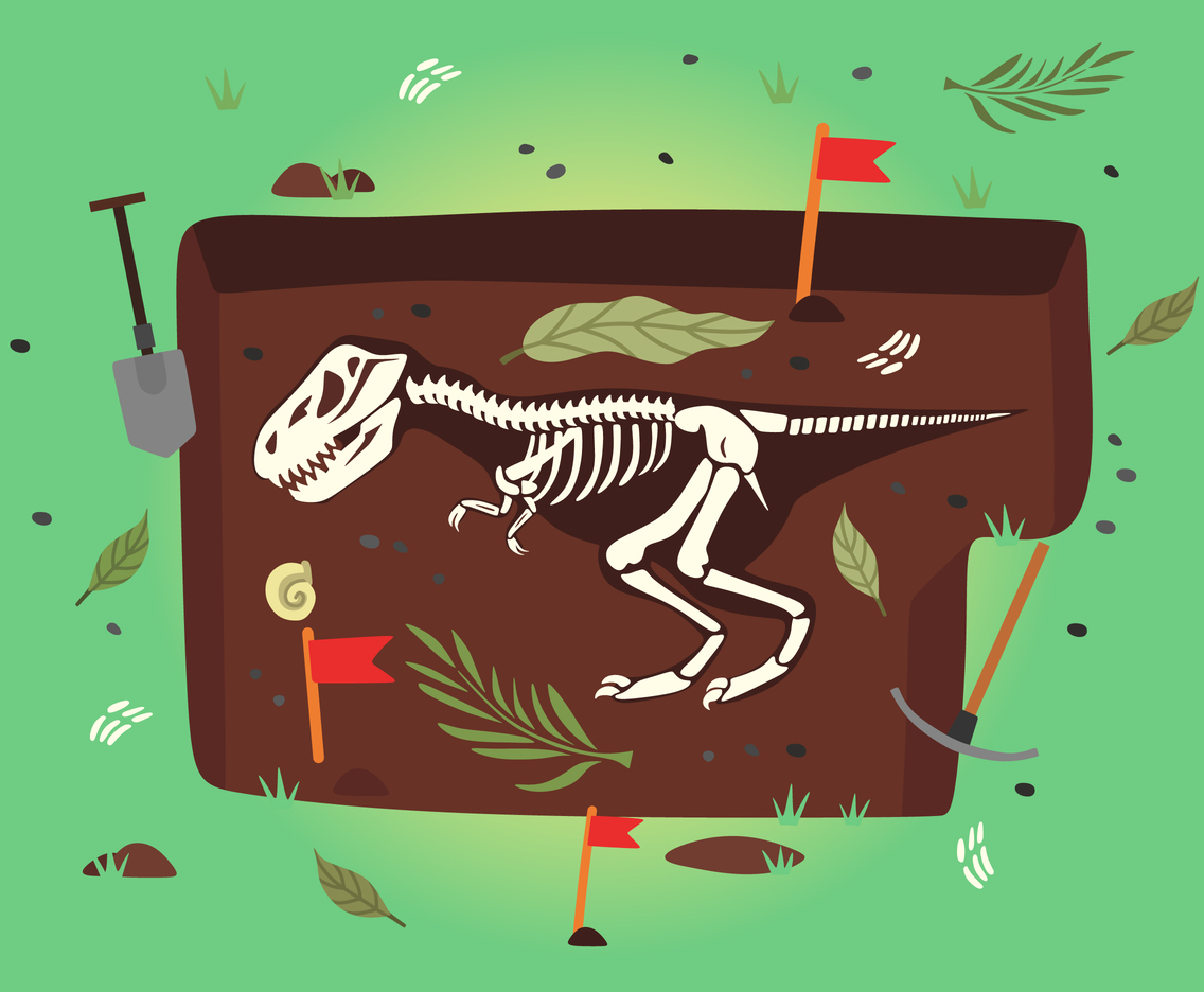 Dinosaur Fossil Vector Vector Art Graphics 1136x936 Dinosaur Fossil Vector Vector Art Graphics