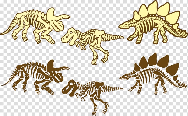 Dinosaur Museum Tyrannosaurus Stegosaurus Reptile, Dinosaur 800x495 Dinosaur Museum Tyrannosaurus Stegosaurus Reptile, Dinosaur