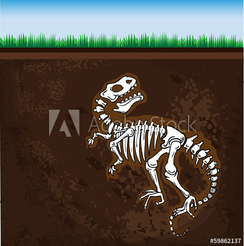 Dinosaur Fossil, Vector Illustration 497x500 Dinosaur Fossil, Vector Illustration