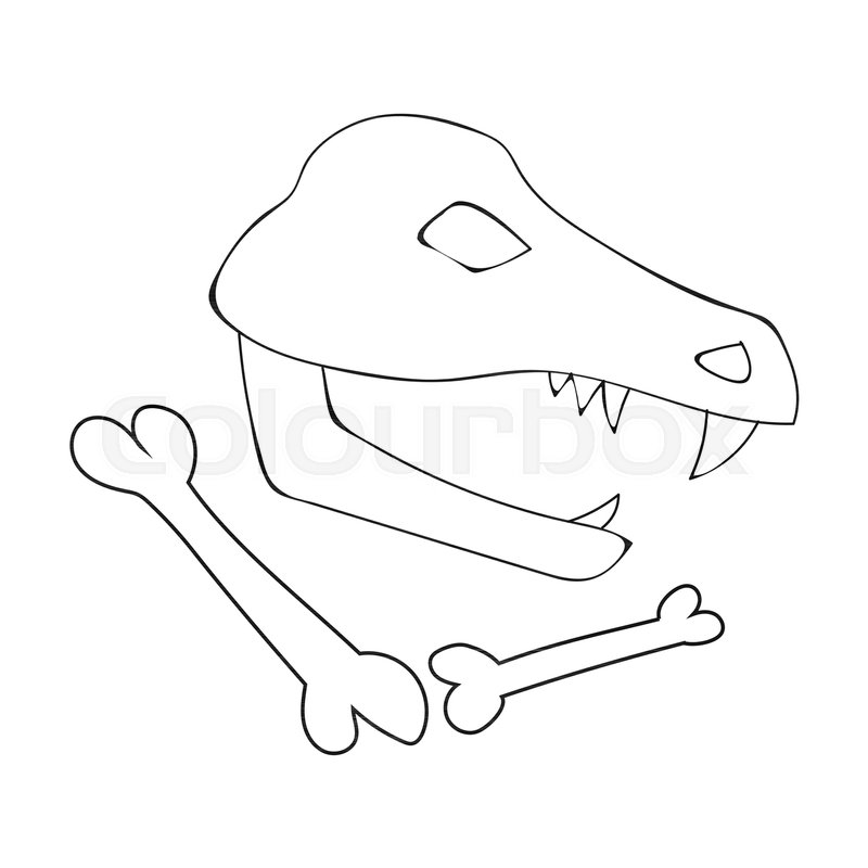 Dinosaur Fossils Icon In Outline Style Stock Vector Colourbox 800x800 Dinosaur Fossils Icon In Outline Style Stock Vector Colourbox
