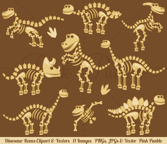 Fossil Clipart Free Download On Ijcnlp Cliparts 580x499 Fossil Clipart Free Download On Ijcnlp Cliparts