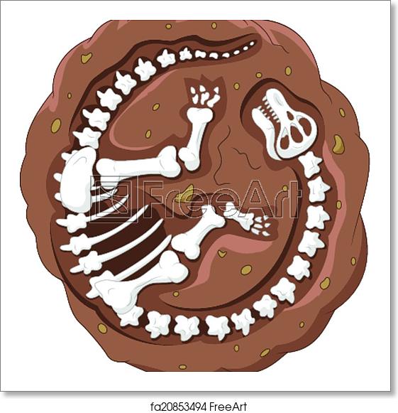 Dinosaur Fossil Vector at Vectorified.com | Collection of Dinosaur