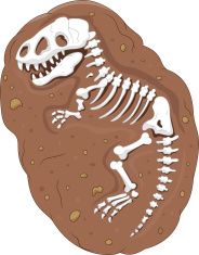 Cartoon Tyrannosaurus Rex Fossil Vector Art Illustration 184x235 Cartoon Tyrannosaurus Rex Fossil Vector Art Illustration