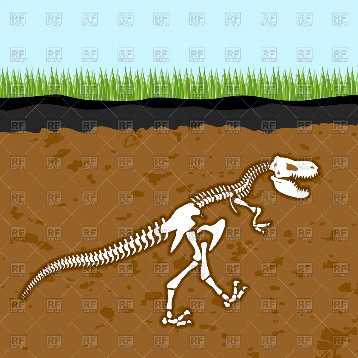 Кости динозавров под землей