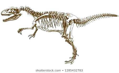 Dinosaur Fossil Drawing 455x280 Dinosaur Fossil Drawing
