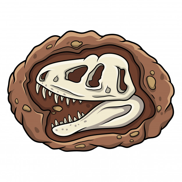 Cartoon Head Dinosaur Fossil Vector Premium Download 626x626 Cartoon Head Dinosaur Fossil Vector Premium Download