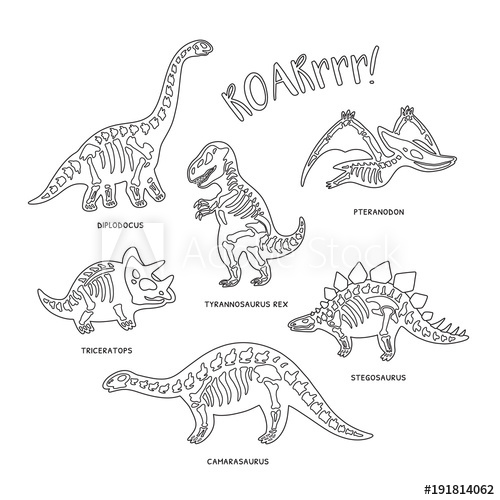 500x500 Cute Cartoon Dinosaur Skeletons Silhouettes In Outline Vector