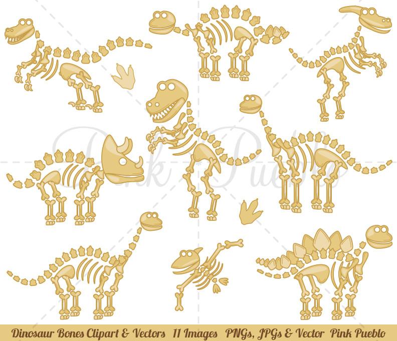 792x681 Dinosaur Fossils And Bones Clipart And Vectors Pinkpueblo