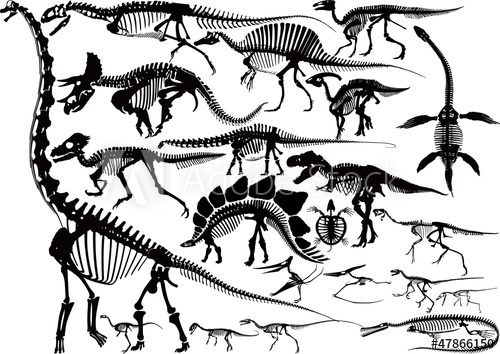 500x354 Dinosaur Skeleton Silhouette Collection