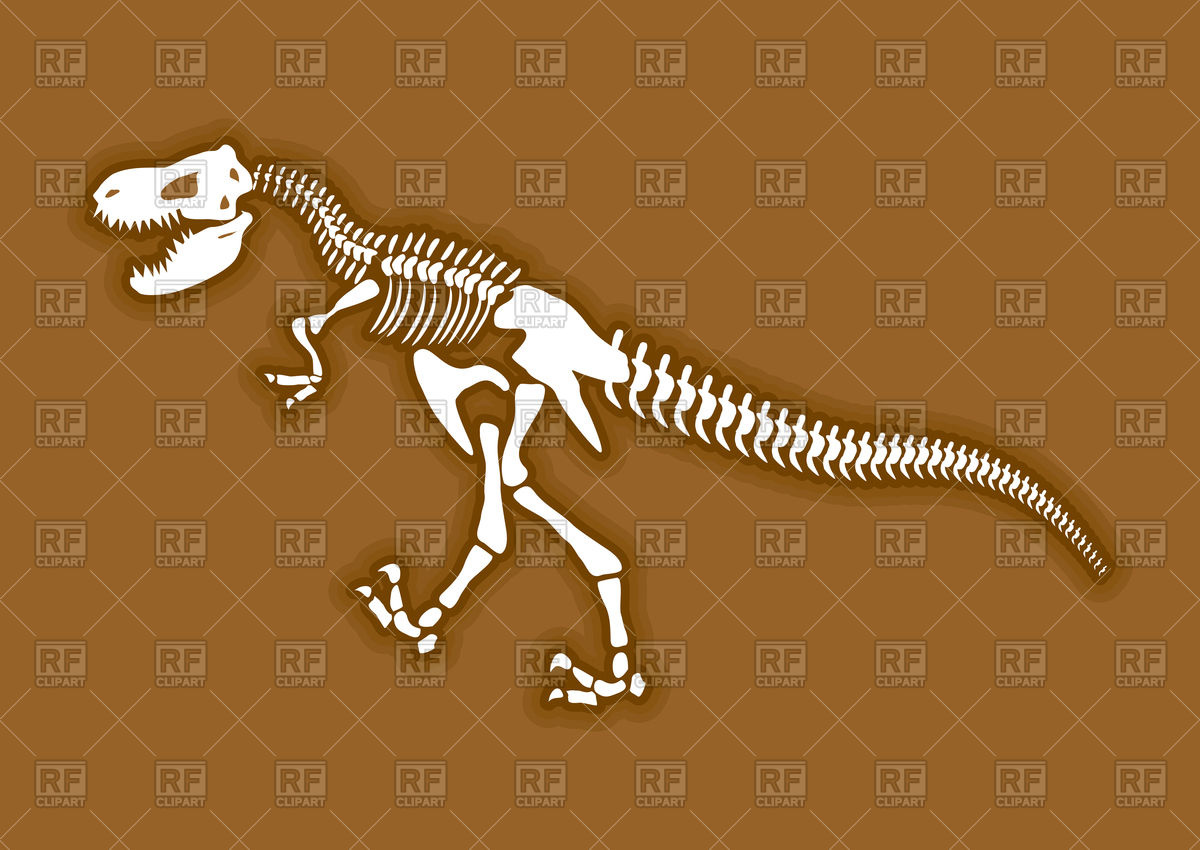 Скелет тираннозавра вектор